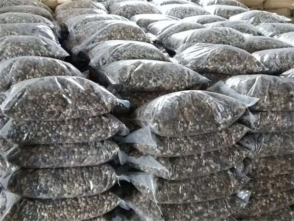 product-600-450
